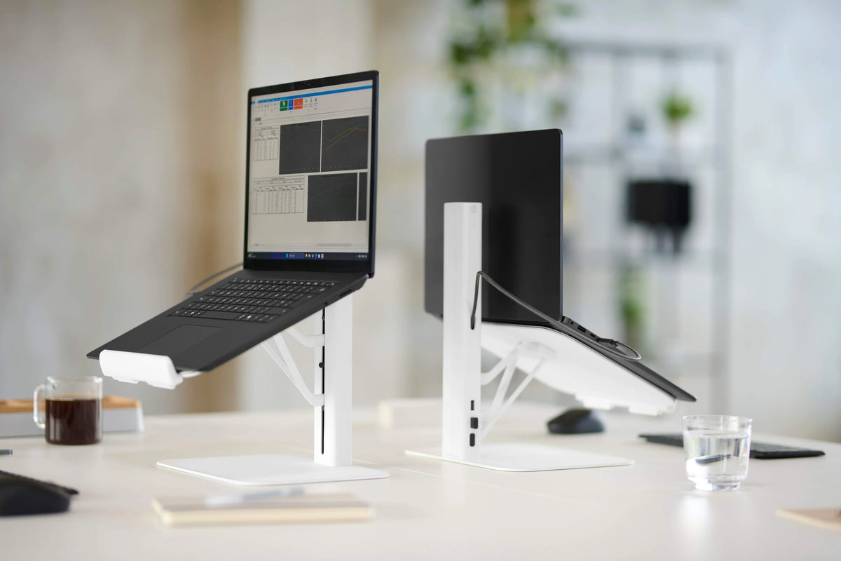 Colebrook Bosson Saunders Lana Laptop Stand