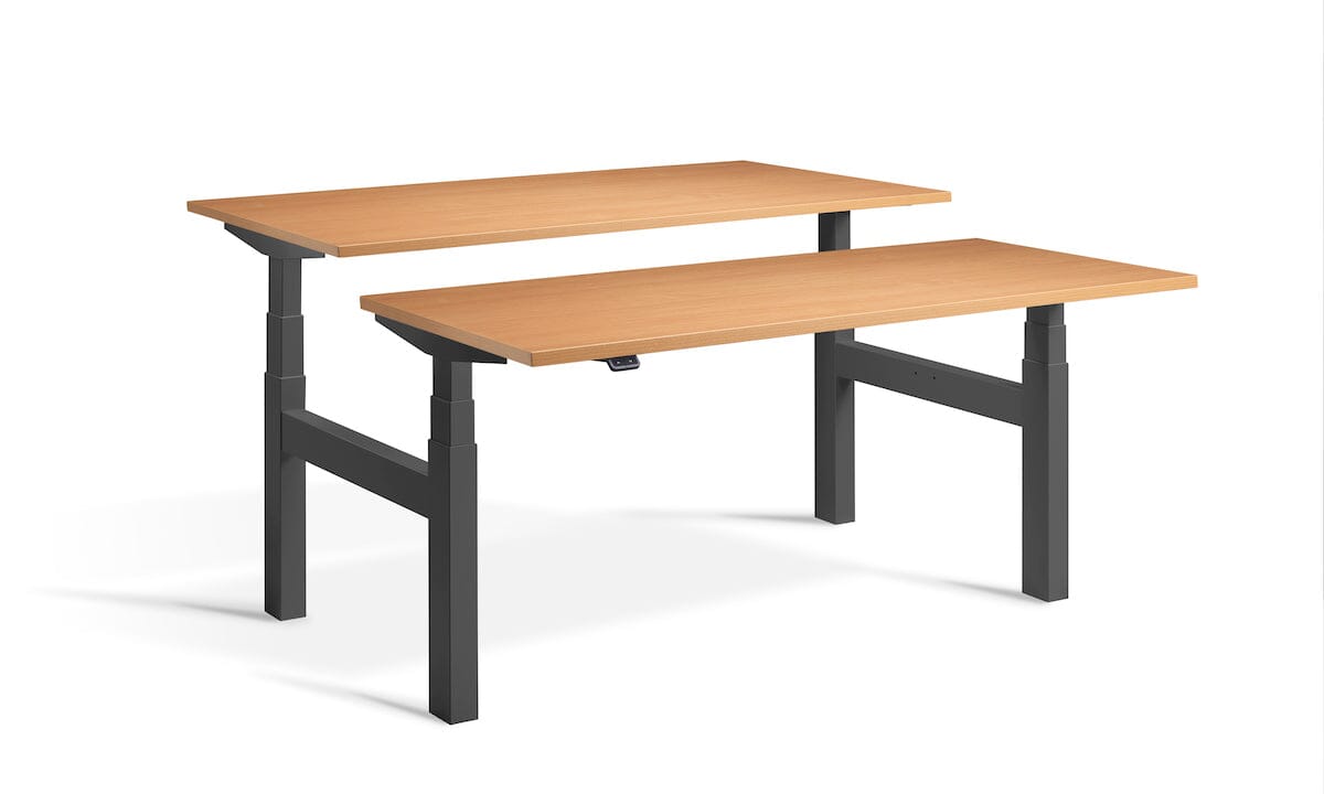 Lavoro Duo - Four Motor Back to Back Sit-Stand Desk - 800 Deep - Dark Grey Frame Accessories Lavoro Beech 1200x800 Anthracite