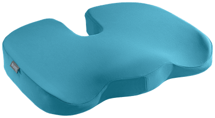 Leitz Ergo Cosy Seat Cushion Accessories Acco UK Ltd Calm Blue