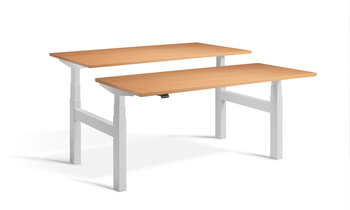 Lavoro Duo - Four Motor Back to Back Sit-Stand Desk - 800 Deep - Dark Grey Frame Accessories Lavoro Beech 1200x800 Dark Grey