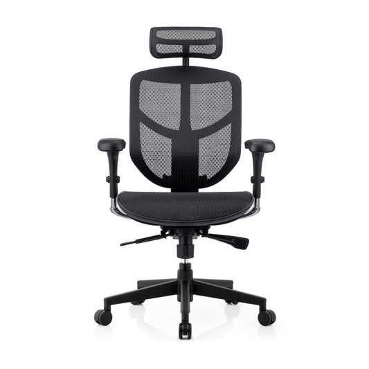 Enjoy Basic Adjustable Back Task Armchair