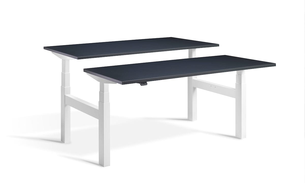 Lavoro Duo - Four Motor Back to Back Sit-Stand Desk - 800 Deep - White Frame Accessories Lavoro Anthracite 1200x800 White