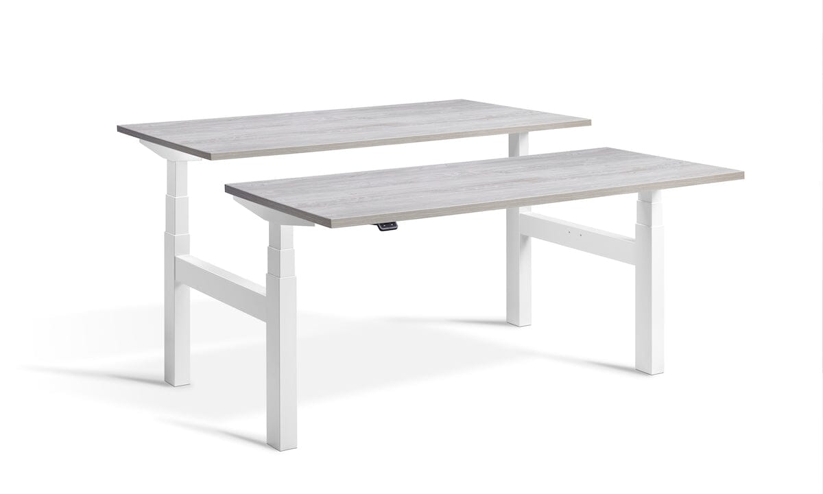 Lavoro Duo - Four Motor Back to Back Sit-Stand Desk - 800 Deep - White Frame Accessories Lavoro Cascina Pine 1200x800 White
