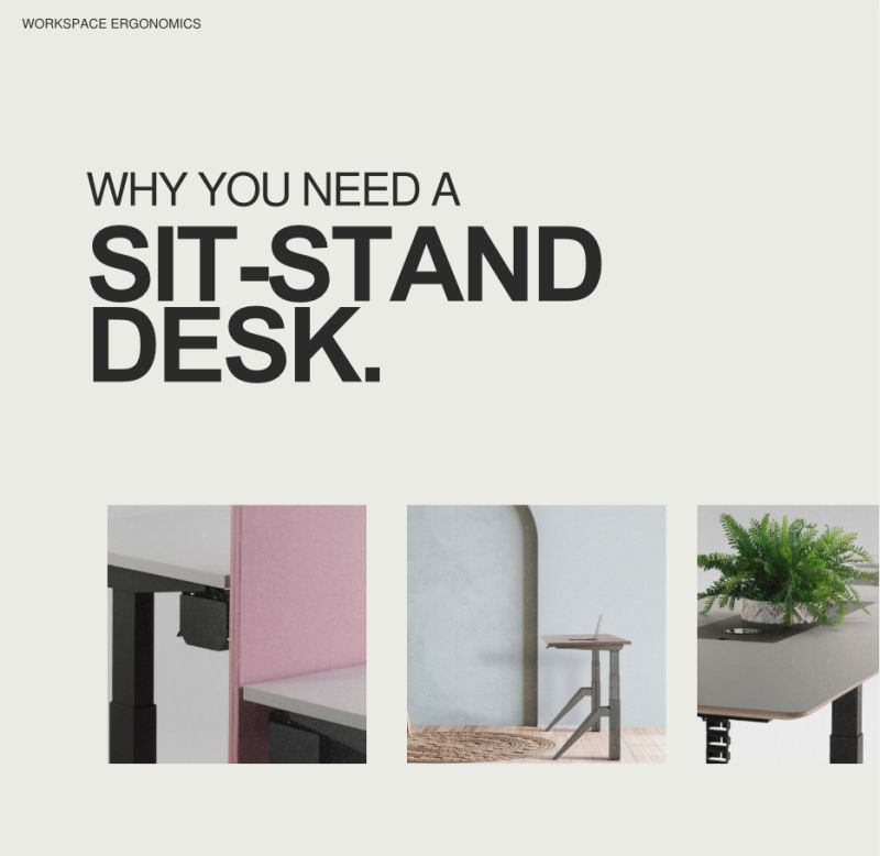 Why you need a sit-stand desk...