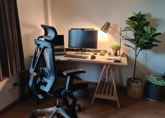 What Is Ergonomics? What Every Home and Office Worker Should Know