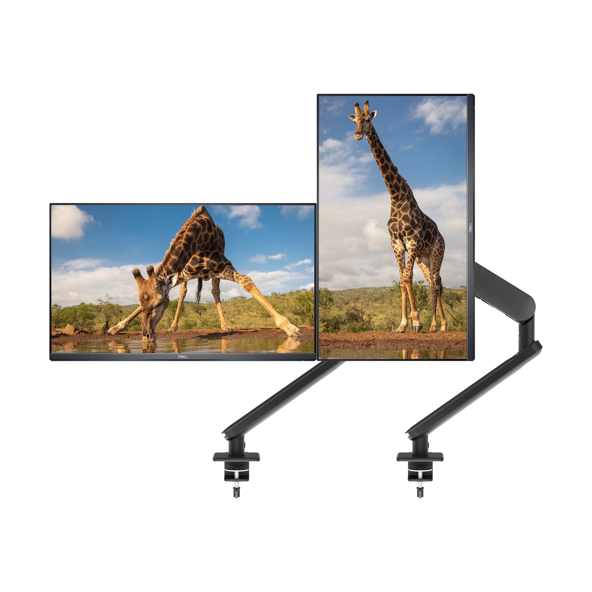 Atdec Ora Monitor Arm - For Flat and Curved Screens Accessories Atdec   