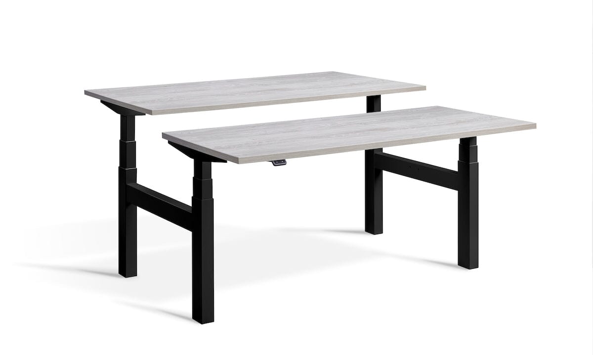 Lavoro Duo - Four Motor Back to Back Sit-Stand Desk - 800 Deep - Black Frame Accessories Lavoro Cascina Pine 1200x800 Black