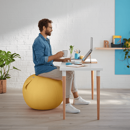 Leitz Active Sitting Ball - e-furniture