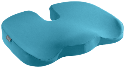 Leitz Ergo Cosy Seat Cushion Accessories Acco UK Ltd Calm Blue  
