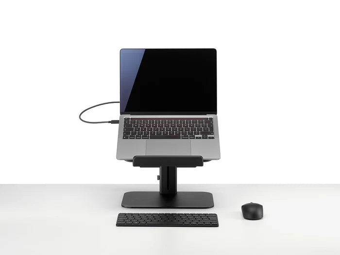 Colebrook Bosson Saunders Lana Laptop Stand