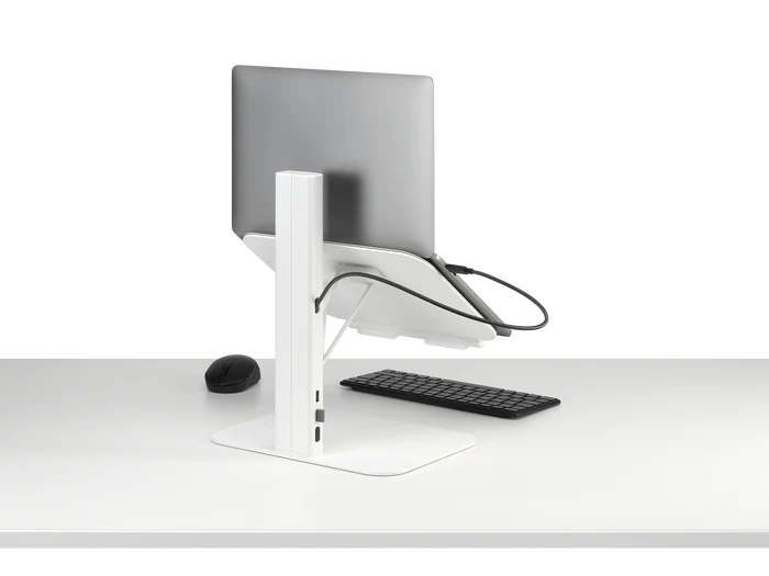 Colebrook Bosson Saunders Lana Laptop Stand