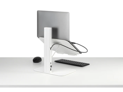 Colebrook Bosson Saunders Lana Laptop Stand