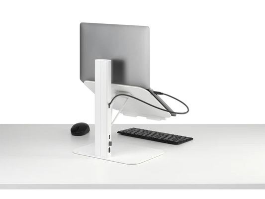Colebrook Bosson Saunders Lana Laptop Stand