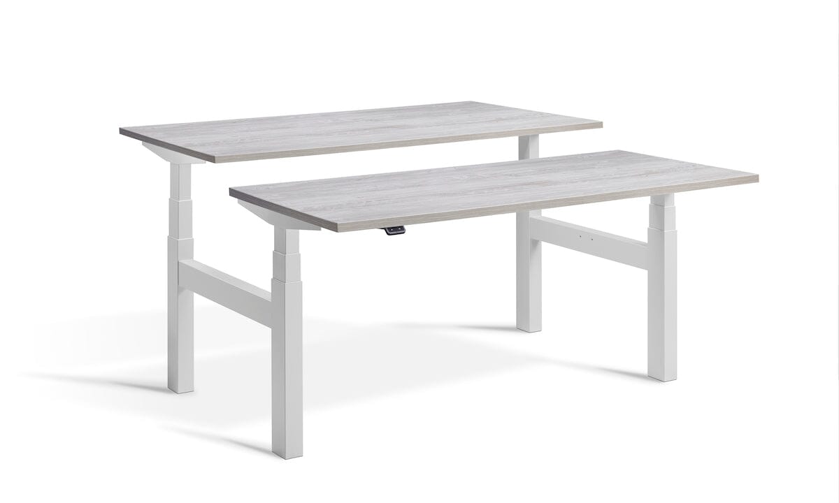 Lavoro Duo - Four Motor Back to Back Sit-Stand Desk - 800 Deep - Dark Grey Frame Accessories Lavoro Cascina Pine 1200x800 Dark Grey